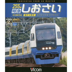 ＢＤ　２５５系特急しおさい　銚子～東京