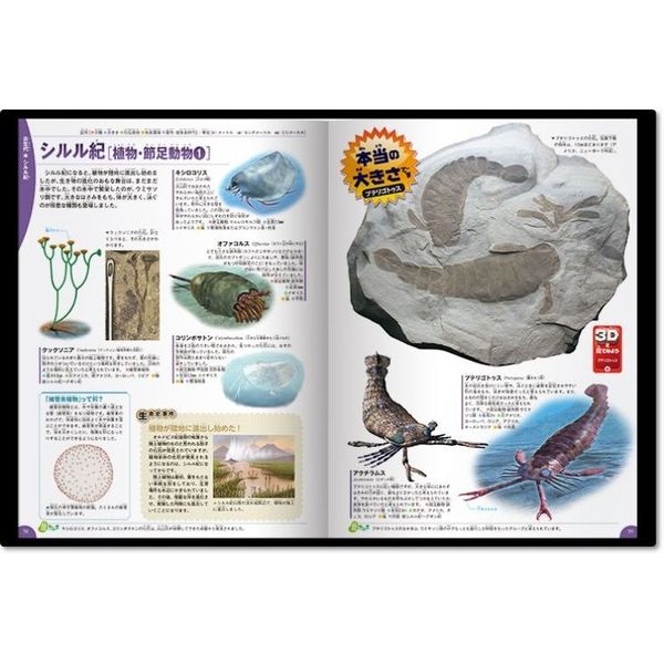 学研の図鑑LIVE 古生物 通販｜セブンネットショッピング