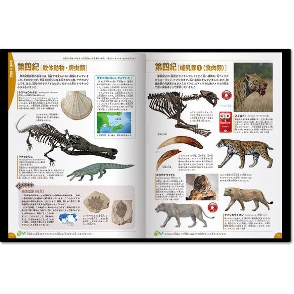 古生物図鑑本10冊セット