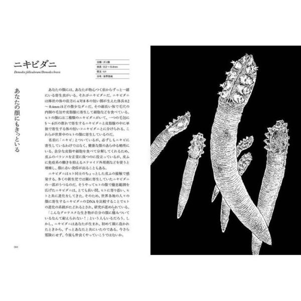 寄生蟲図鑑 ふしぎな世界の住人たち 増補版 通販｜セブンネット