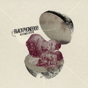 ֥ͥåȥåԥ󥰤㤨ACCUMULATIONפβǤʤ1,980ߤˤʤޤ