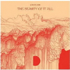 The　Beauty　Of　It　All