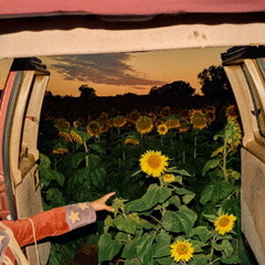 Little　Wide　Open