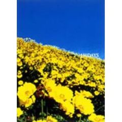 Sads／131 DAYS（ＤＶＤ）