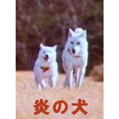 炎の犬　DVD－BOX（ＤＶＤ）