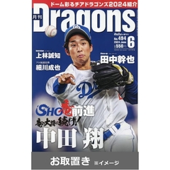 月刊ドラゴンズ (雑誌お取置き)1年12冊