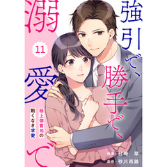 comic Berry’s強引で、勝手で、溺愛で～極上御曹司の飽くなき求愛～11巻