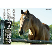 北の大地に生きる引退名馬の優姿