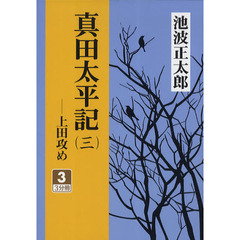 真田太平記　上田攻め　３－３