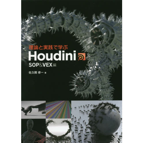 理論と実践で学ぶＨｏｕｄｉｎｉ　ＳＯＰ＆ＶＥＸ編