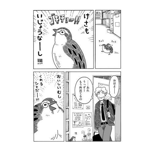 うずらさま確認ページ♡ レオジャンボウズラ ノーマル メス 210〜239g - ウズラ大学