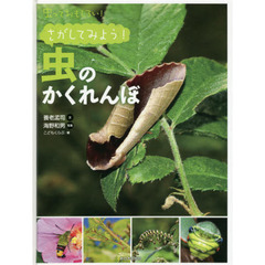 虫っておもしろい！　〔６〕　さがしてみよう！虫のかくれんぼ