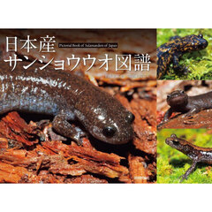 日本産サンショウウオ図譜