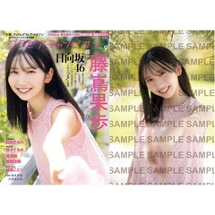 グラビアチャンピオン　VOL.9【セブンネット限定特典：藤嶌果歩（日向坂46）ポストカード 1枚付き】