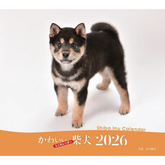 ２０２６ミニカレンダーかわいい柴犬