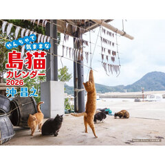 やんちゃで気ままな島猫カレンダー２０２６