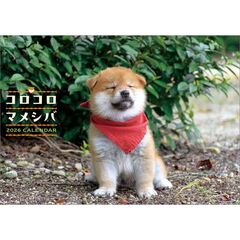 コロコロマメシバ　2026年カレンダー