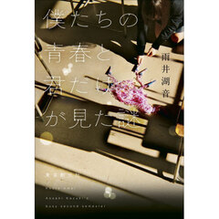 僕たちの青春と君だけが見た謎