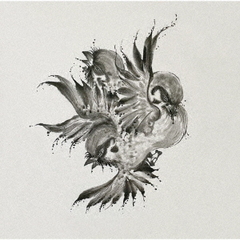FLOW／United　Sparrows