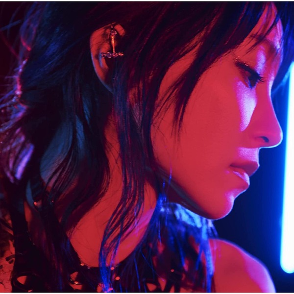 ֥ͥåȥåԥ󥰤㤨LiSA / ̾סˡפβǤʤ1,320ߤˤʤޤ