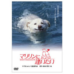 マリリンに逢いたい（ＤＶＤ）