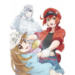はたらく細胞！！　Vol．1（Ｂｌｕ－ｒａｙ　Ｄｉｓｃ）