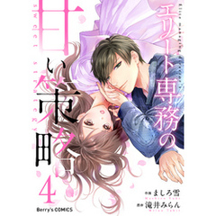 エリート専務の甘い策略4巻