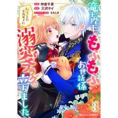 竜王陛下のもふもふお世話係～転生した平凡女子に溺愛フラグが立ちました～3巻