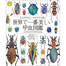 世界で一番美しい甲虫図鑑：きらびやかに、つややかに輝く