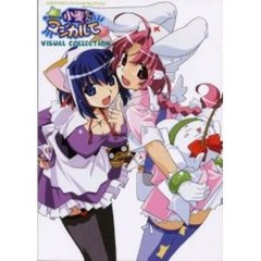 ナースウィッチ小麦ちゃんマジカルてビジュアルコレクション　メガミマガジンスペシャルセレクション