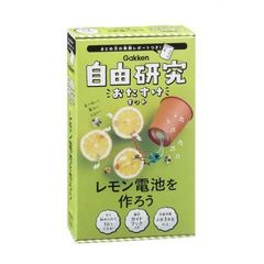 レモン電池を作ろう (自由研究おたすけキット)