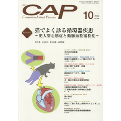 ＣＡＰ　３２８