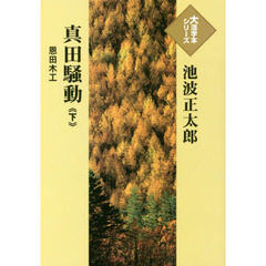 真田騒動　恩田木工　下