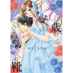 ２９歳のガラスの靴