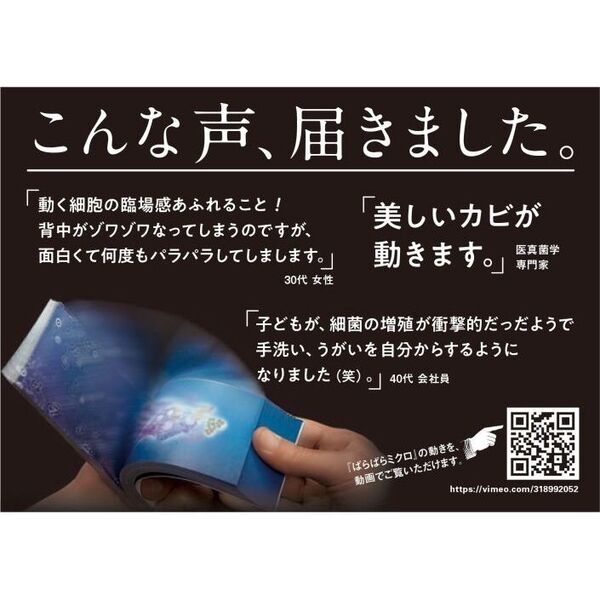 パンに生えたカビ クロコウジカビ 通販｜セブンネットショッピング