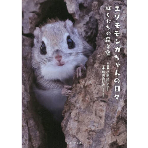 エゾモモンガちゃんの日々 ぼくたちの森と空 通販｜セブンネット