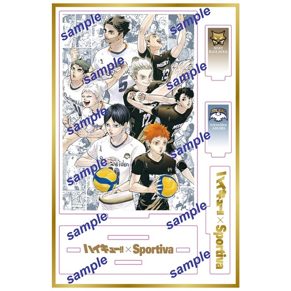 バレーボール指導のQ&Aシリーズ DVD 3枚セット