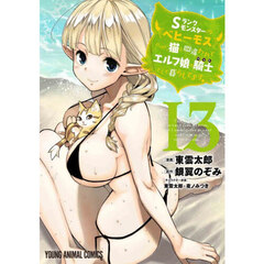 Ｓランクモンスターの《ベヒーモス》だけど、猫と間違われてエルフ娘の騎士として暮らしてます　１３