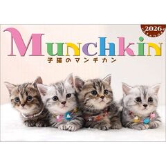 子猫のマンチカン　2026年カレンダー