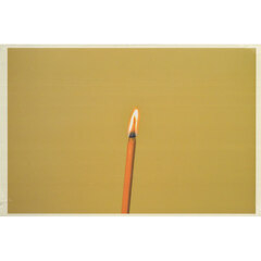 Ｌｉｆｅ　Ｓｔｕｄｉｅｓ