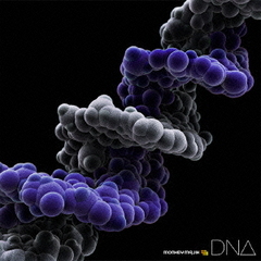 DNA（Blu?ray　Disc付）