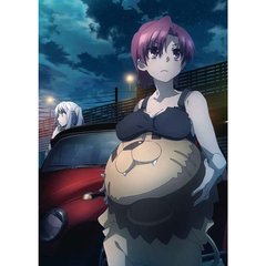 Fate／kaleid　liner　プリズマ☆イリヤ　ツヴァイ　ヘルツ！　第2巻（Ｂｌｕ－ｒａｙ　Ｄｉｓｃ）