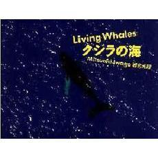 クジラの海