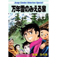 万年雪のみえる家