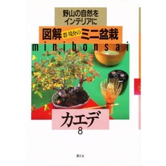 図解ミニ盆栽　野山の自然をインテリアに　８　カエデ