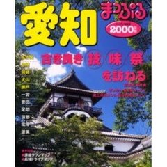 愛知　名古屋・豊橋・岡崎・犬山・瀬戸　２０００年版