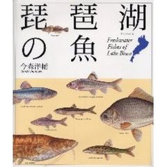 琵琶湖の魚
