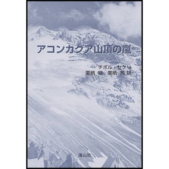 アコンカグア山頂の嵐