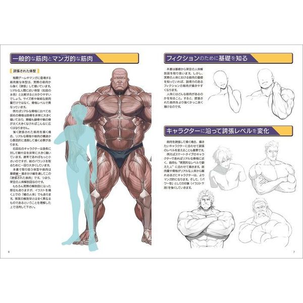 強い筋肉の描き方 フィクション筋肉の解体新書 通販 セブンネットショッピング
