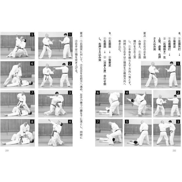 強い！日拳　日本拳法を学ぶ